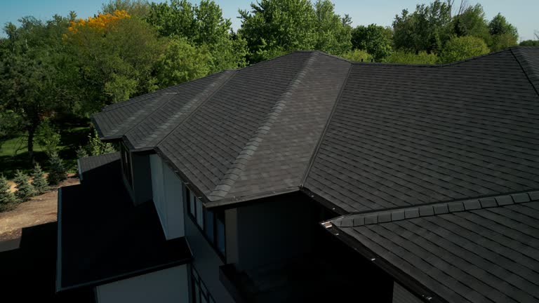 Best Roof Moss and Algae Removal  in Hammonton, NJ