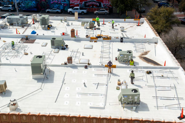 Best Asphalt Shingle Roofing  in Hammonton, NJ