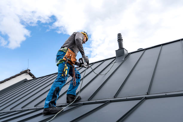 Best Skylight Installation and Repair  in Hammonton, NJ