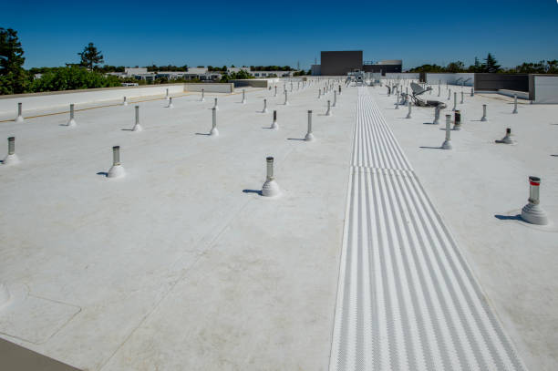 Best Cold Roofs  in Hammonton, NJ